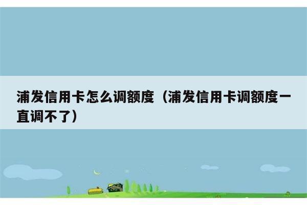 浦发信用卡怎么调额度（浦发信用卡调额度一直调不了） 