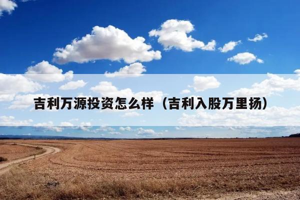 吉利万源投资怎么样（吉利入股万里扬） 