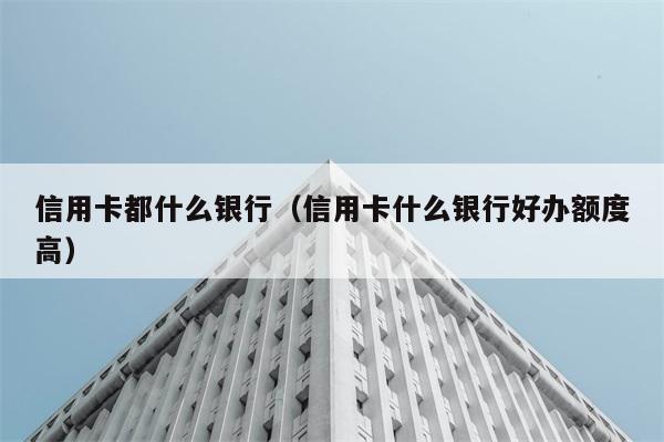 信用卡都什么银行（信用卡什么银行好办额度高） 