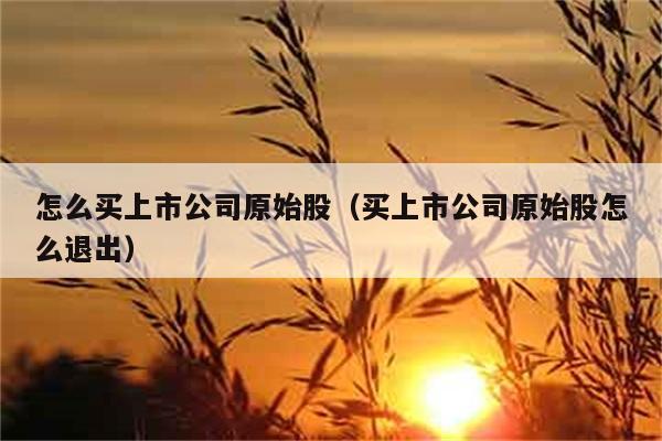 怎么买上市公司原始股（买上市公司原始股怎么退出） 