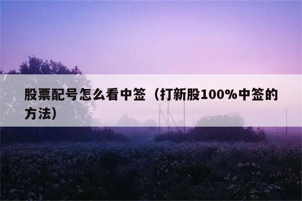 股票配号怎么看中签（打新股100%中签的方法） 