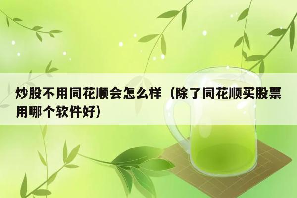 炒股不用同花顺会怎么样（除了同花顺买股票用哪个软件好） 