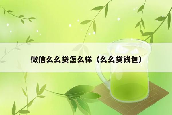 微信么么贷怎么样（么么贷钱包） 