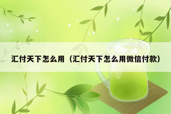 汇付天下怎么用（汇付天下怎么用微信付款） 