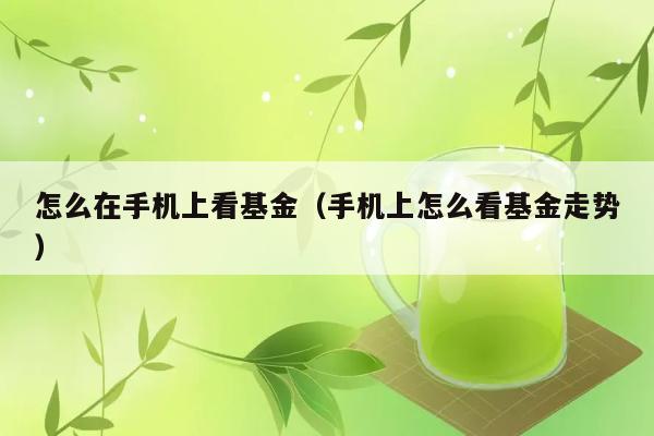 怎么在手机上看基金（手机上怎么看基金走势） 