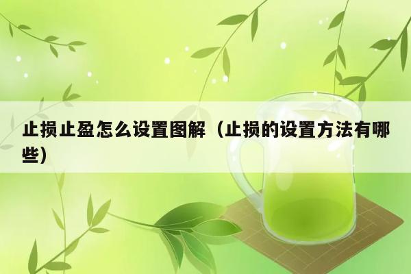 止损止盈怎么设置图解（止损的设置方法有哪些） 