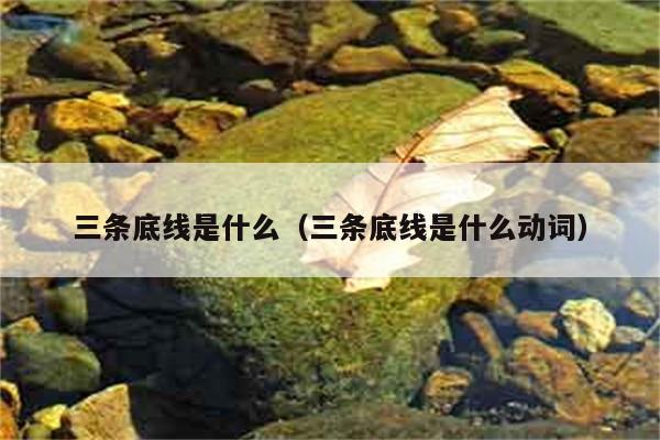 三条底线是什么（三条底线是什么动词） 