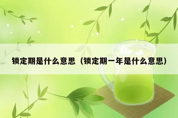 锁定期是什么意思（锁定期一年是什么意思） 