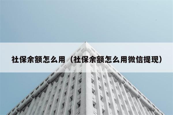 社保余额怎么用（社保余额怎么用微信提现） 