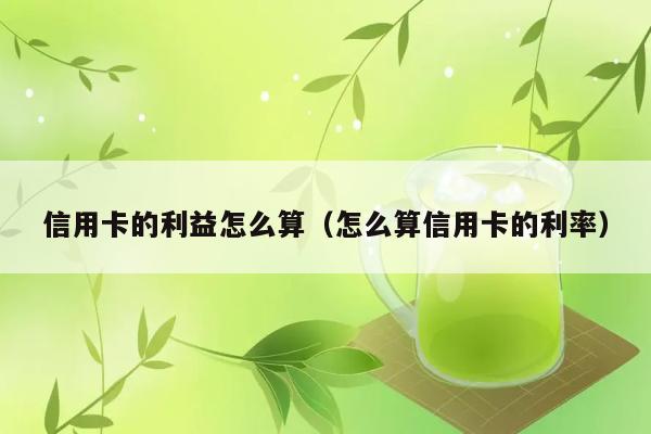 信用卡的利益怎么算（怎么算信用卡的利率） 