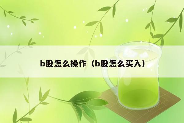 b股怎么操作（b股怎么买入） 