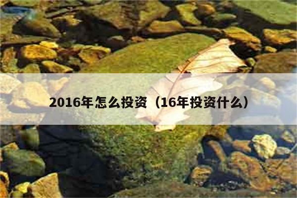 2016年怎么投资（16年投资什么） 