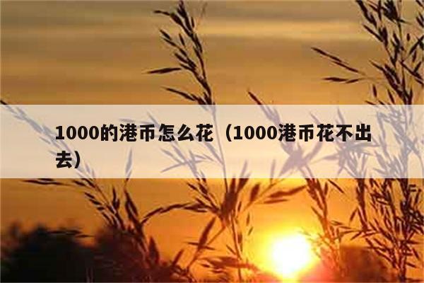 1000的港币怎么花（1000港币花不出去） 