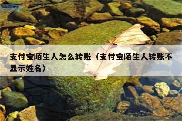 支付宝陌生人怎么转账（支付宝陌生人转账不显示姓名） 