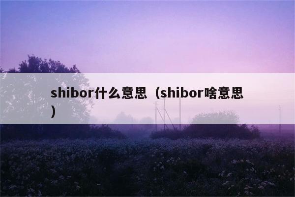 shibor什么意思（shibor啥意思） 