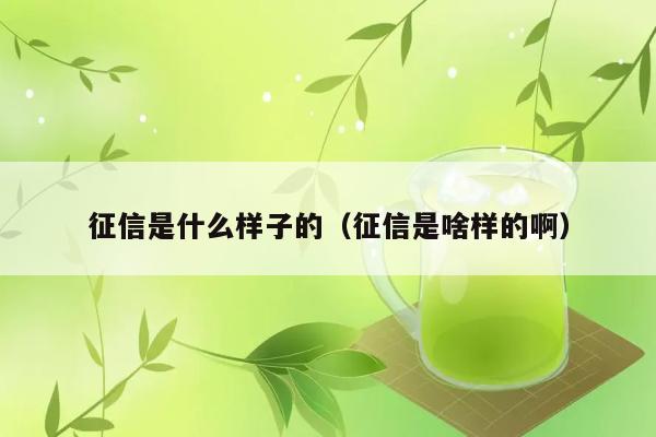 征信是什么样子的（征信是啥样的啊） 