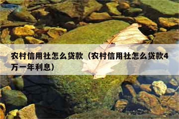 农村信用社怎么贷款（农村信用社怎么贷款4万一年利息） 