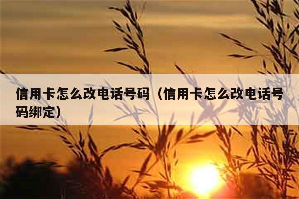 信用卡怎么改电话号码（信用卡怎么改电话号码绑定） 