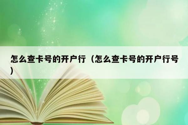 怎么查卡号的开户行（怎么查卡号的开户行号） 