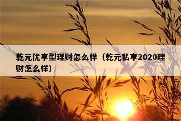 乾元优享型理财怎么样（乾元私享2020理财怎么样） 