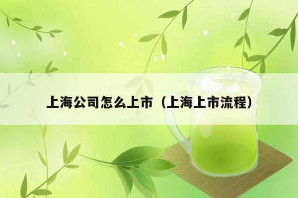 上海公司怎么上市（上海上市流程） 