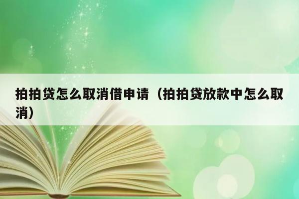 拍拍贷怎么取消借申请（拍拍贷放款中怎么取消） 