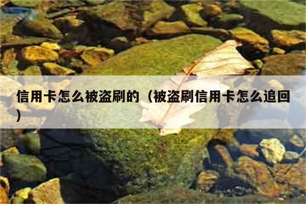 信用卡怎么被盗刷的（被盗刷信用卡怎么追回） 