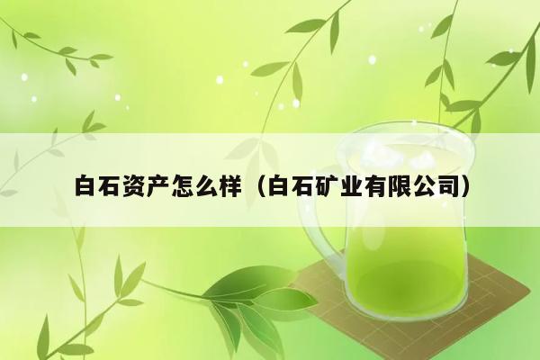 白石资产怎么样（白石矿业有限公司） 