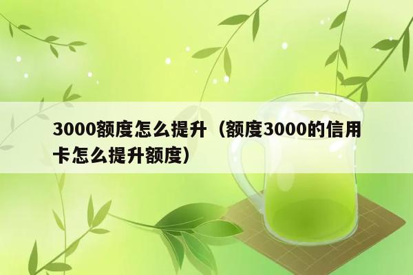 3000额度怎么提升（额度3000的信用卡怎么提升额度） 