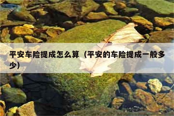 平安车险提成怎么算（平安的车险提成一般多少） 