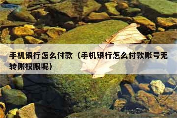 手机银行怎么付款（手机银行怎么付款账号无转账权限呢） 