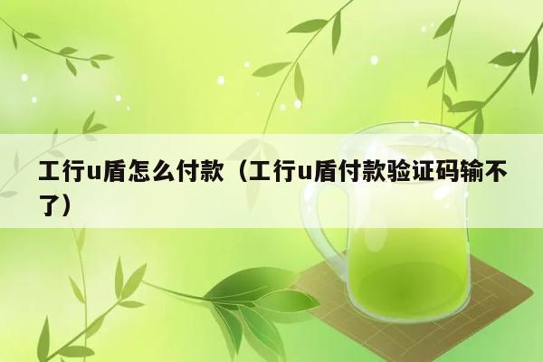 工行u盾怎么付款（工行u盾付款验证码输不了） 