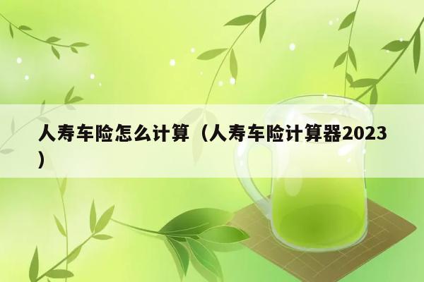 人寿车险怎么计算（人寿车险计算器2023） 