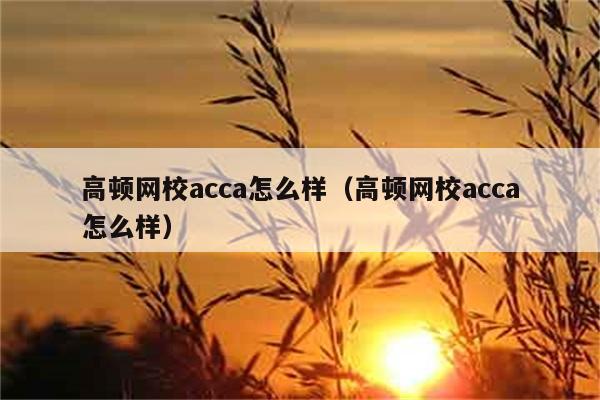 高顿网校acca怎么样（高顿网校acca怎么样） 