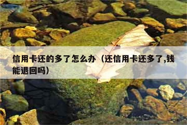 信用卡还的多了怎么办（还信用卡还多了,钱能退回吗） 