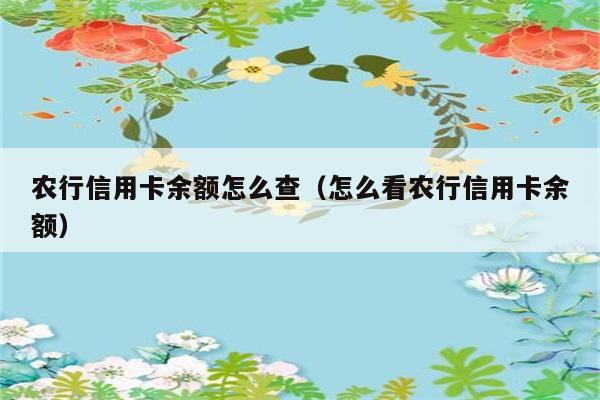 农行信用卡余额怎么查（怎么看农行信用卡余额） 