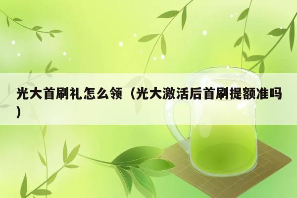 光大首刷礼怎么领（光大激活后首刷提额准吗） 