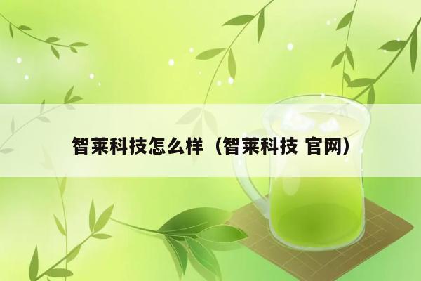 智莱科技怎么样（智莱科技 官网） 