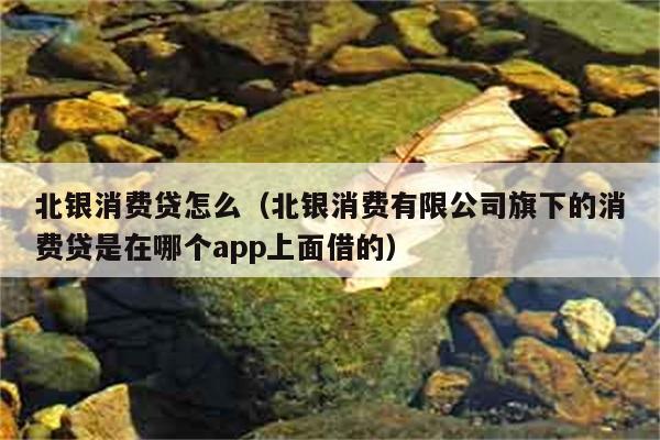 北银消费贷怎么（北银消费有限公司旗下的消费贷是在哪个app上面借的） 