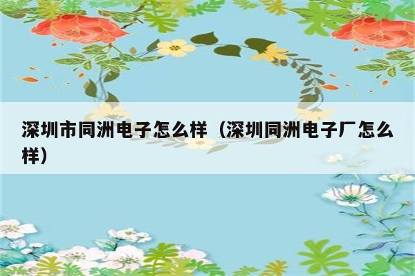 深圳市同洲电子怎么样（深圳同洲电子厂怎么样） 