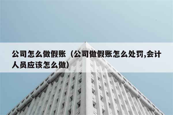 公司怎么做假账（公司做假账怎么处罚,会计人员应该怎么做） 