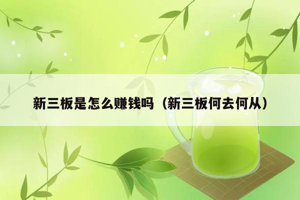 新三板是怎么赚钱吗（新三板何去何从） 