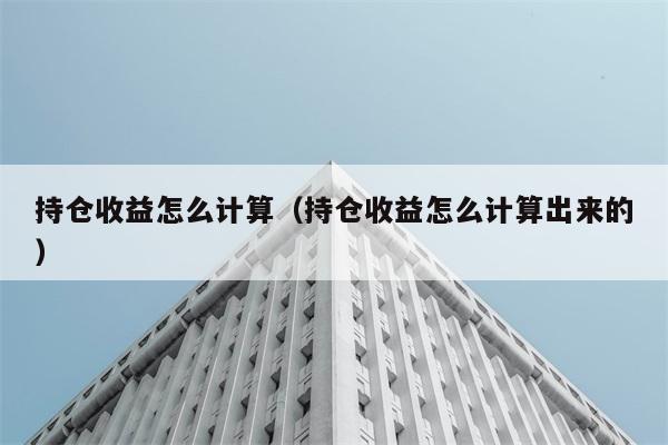 持仓收益怎么计算（持仓收益怎么计算出来的） 