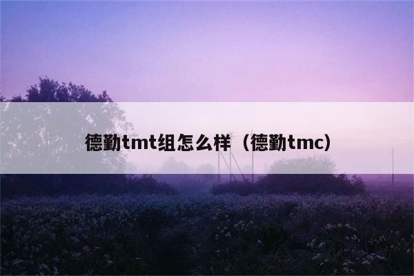 德勤tmt组怎么样（德勤tmc） 