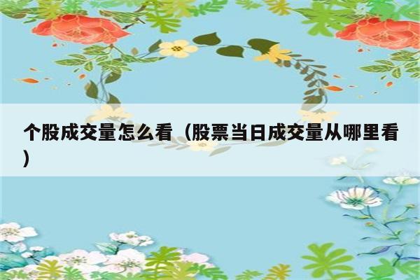 个股成交量怎么看（股票当日成交量从哪里看） 