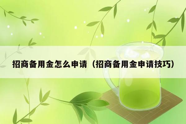 招商备用金怎么申请（招商备用金申请技巧） 