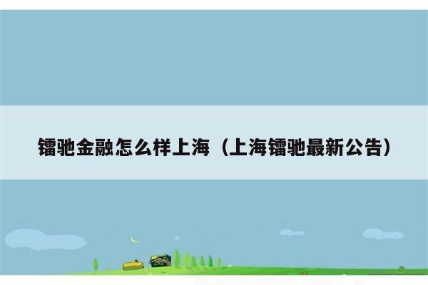 镭驰金融怎么样上海（上海镭驰最新公告） 