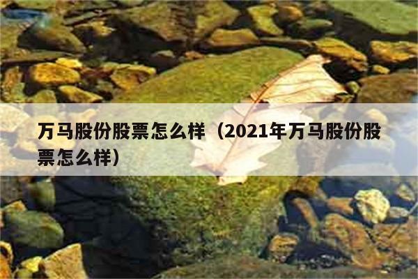 万马股份股票怎么样（2021年万马股份股票怎么样） 