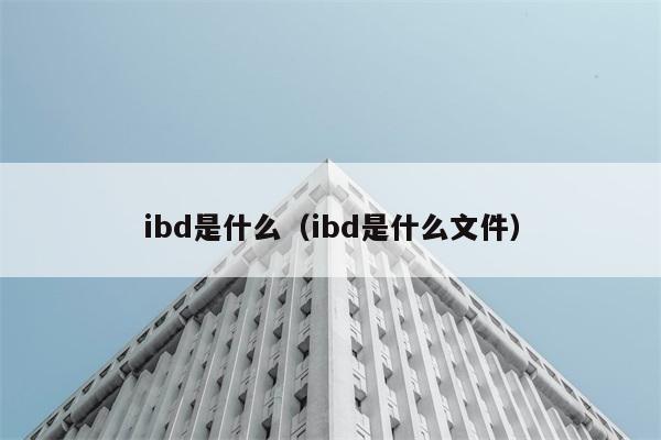 ibd是什么（ibd是什么文件） 