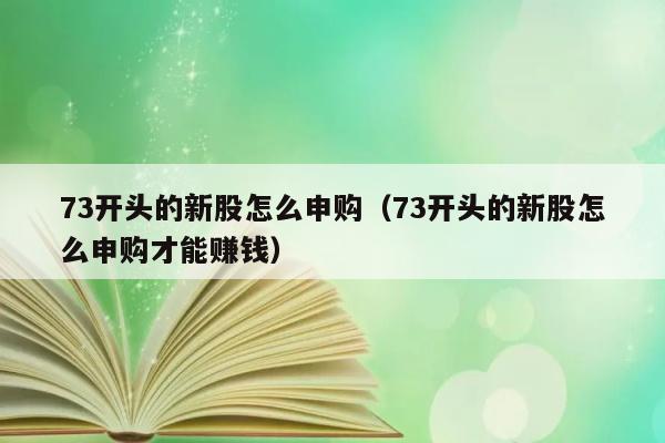 73开头的新股怎么申购（73开头的新股怎么申购才能赚钱） 